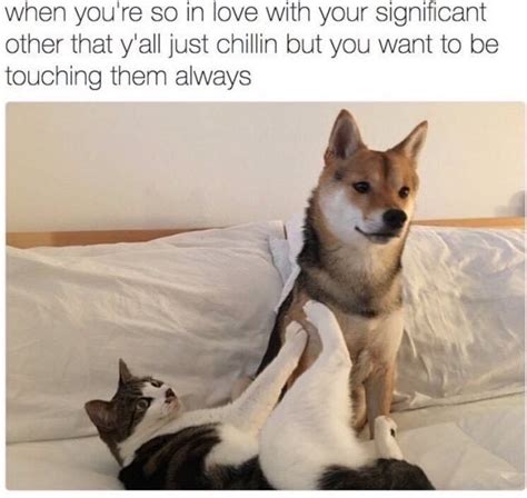 Spicy Relationship Memes To Send To Your。